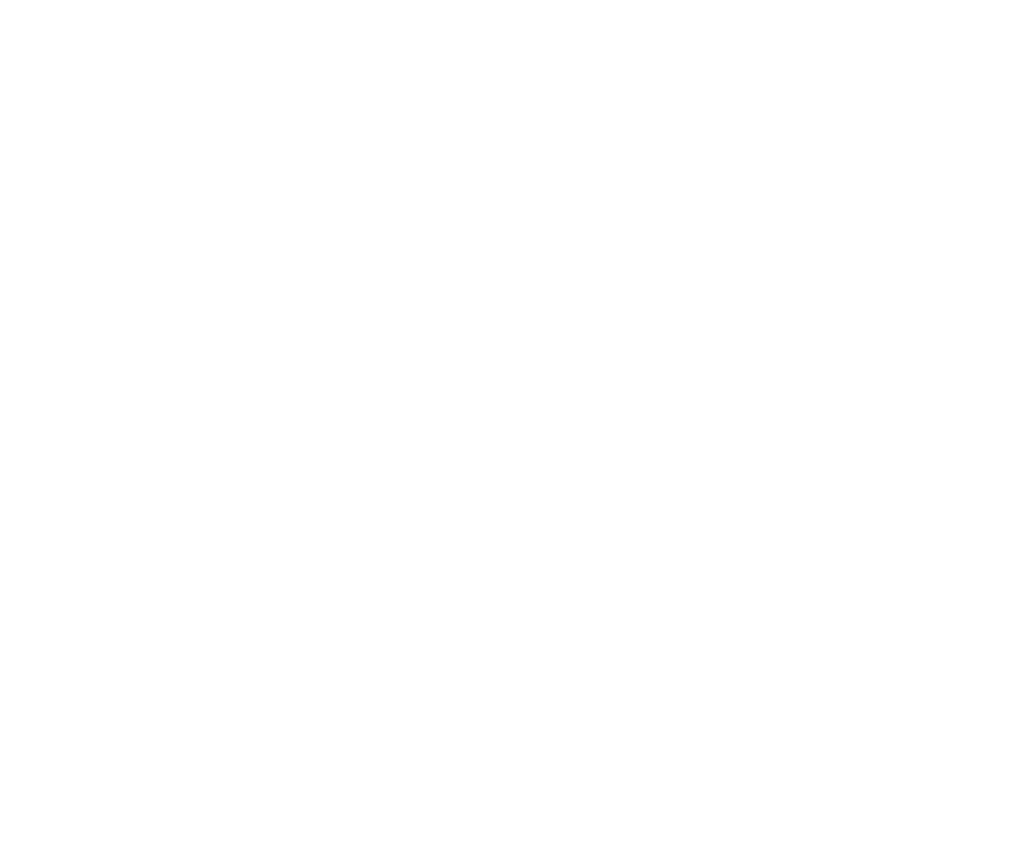 Watermark